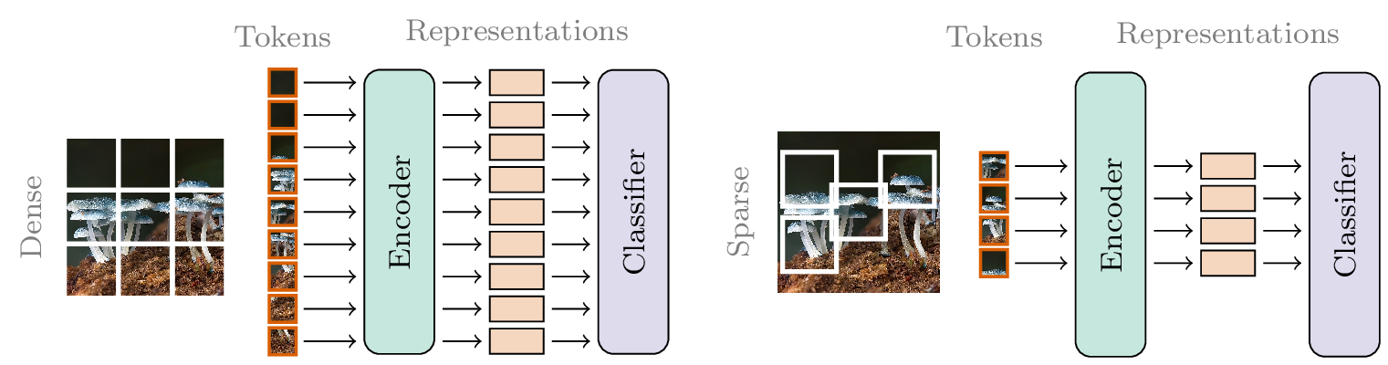 Tokenization pipeline