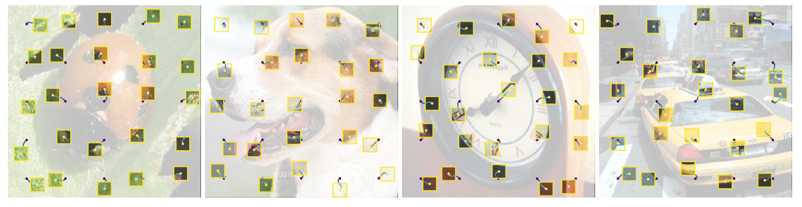 Oracle Placements