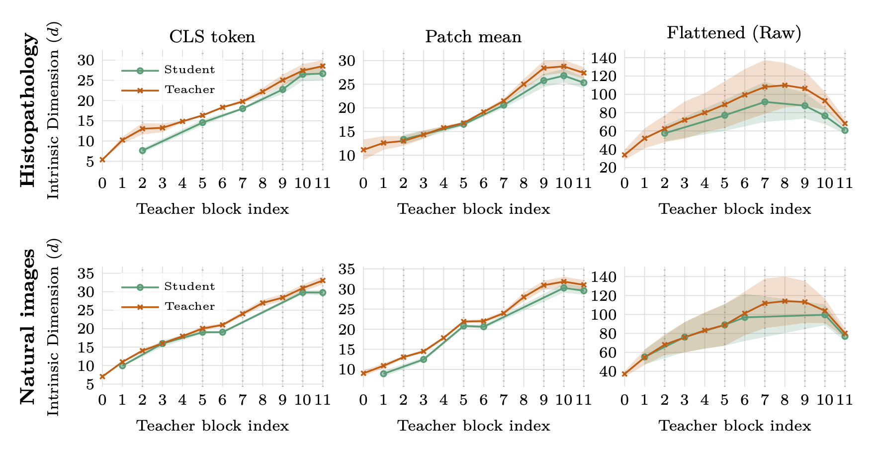Intrinsic-dimension trajectories of the teacher and compressed student.